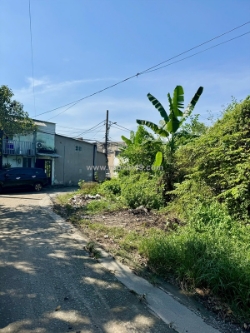 Bán đất shr  đông thạnh hóc môn  5,3x22m  đường 7m  gần trịnh thị dối  giá chỉ