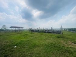 Bán đất thổ cư vườn lài, an phú đông - q.12. dt 535m2, 9,10m x 54m, . giá 34 tỷ