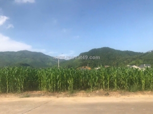 Bán đất trung tâm thị trấn yên lập – phú thọ