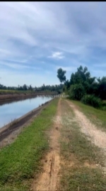 Bán đất vườn 1,300m2 xã tam lộc, phú ninh, quảng nam, giá bán: 4,3 tỉ