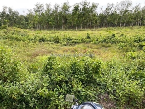 Bán đất-  xã định thành – huyện dầu tiếng, bình dương