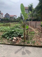 Bán lô đất đẹp – thôn đan thượng, xã tân phú (cũ) – nay là xã vĩnh thành, phú