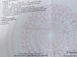 Bán lô đất phú thạnh 10 nối dài - trục thông  hồ tùng mậu - gía đt