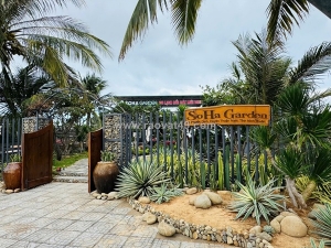 Bán nhà vườn view biển vip – mũi dinh sơn hải 2 - phước dinh, khánh hòa