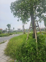 Bán nhanh lô đất thổ cư 72m² tại phường ngọc châu, tp hải dương.