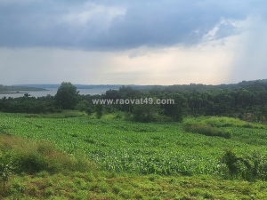 Bán quả đồi 11.777m2 ( gần 1ha2) đất view hồ sông ray, vị trí đẹp nhìn hồ mát mẻ