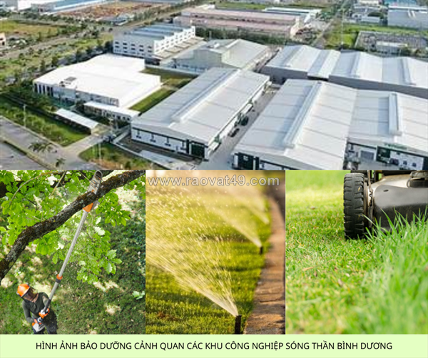 ~/Img/2025/11/bao-duong-canh-quan-cay-xanh-ve-sinh-cong-nghiep-tai-kcn-song-than-binh-duong-01.png
