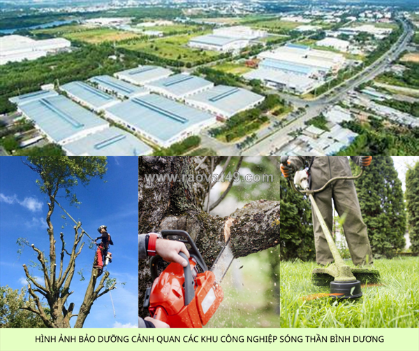 ~/Img/2025/11/bao-duong-canh-quan-cay-xanh-ve-sinh-cong-nghiep-tai-kcn-song-than-binh-duong-02.png