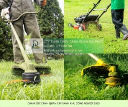 Bảo dưỡng cảnh quan khu công nghiệp chuyên nghiệp đồng nai, bình dương, tphcm | cảnh quan đại phát