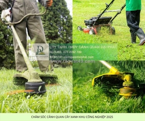 Bảo dưỡng cảnh quan khu công nghiệp chuyên nghiệp đồng nai, bình dương, tphcm | cảnh quan đại phát