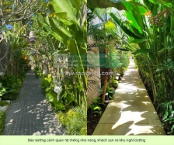 Bảo dưỡng cảnh quan nhà hàng khách sạn biệt thự thủ đức,tphcm