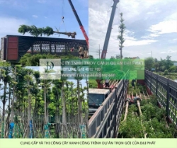 Báo giá thi công cây xanh công trình dự án 2025: chất lượng, tối ưu chi phí