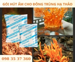 Bảo quản đông trùng hạ thảo hiệu quả với gói hút ẩm silicagel thịnh phong