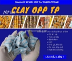 Bảo vệ bánh mứt ngày tết khô ráo với gói hút ẩm clay opp thịnh phong