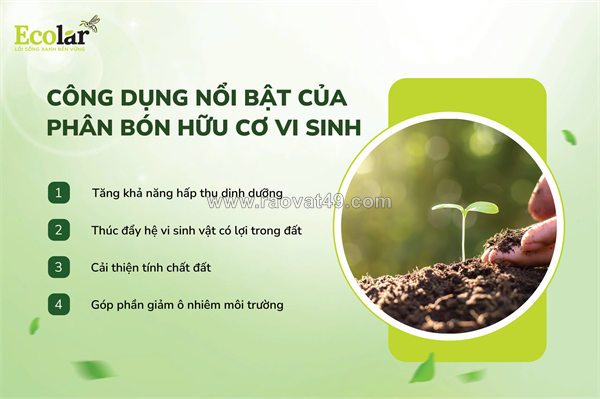 ~/Img/2025/11/bi-quyet-cai-tao-dat-va-nuoi-cay-khoe-voi-phan-bon-huu-co-vi-sinh-02.png