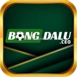 Bongdalu – nguồn tin bóng đá trực tuyến nhanh và chính xác