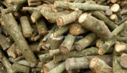 Các loại chất đốt do phú quốc dragon cung cấp