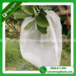 Các mẫu túi vải không dệt bọc trái cây phổ biến nhất