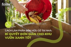 Cách tự làm phân bón hữu cơ đơn giản cho vườn nhà