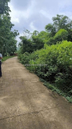 Cần bán 5 sào đất xã phước an – hớn quản - bình phước