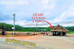 Cần bán gấp 650m2 (15x42) có 300m2 thổ cư tại dt750 - long hòa dầutiếng