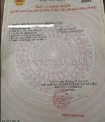 Cần bán gấp đất tại ấp đồng tâm, xã long trạch, cần đước, long an