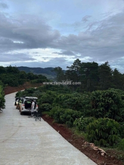 Cần thanh lý lô đất chính chủ giá 450tr