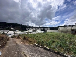 Cần tiền bán đất xd đà lạt view thoáng đường trịnh hoài đức, đà lạt 103m2 giá