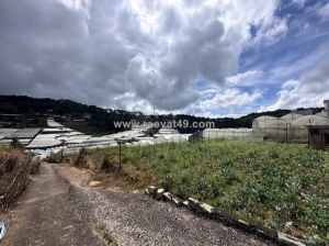 Cần tiền bán đất xd đà lạt view thoáng đường trịnh hoài đức, đà lạt 103m2 giá