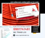 Cáp chống cháy chống nhiễu 2x0.75/2x1.0.2x1.5.2x2.5 altek kabel
