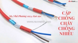 Cáp chống cháy chống nhiễu 2x1.0 mm2, bs6387, iec 60331