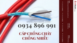 Cáp chống cháy chống nhiễu 2x2.5 mm2 chuẩn bs6387, iec 60331