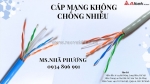 Cáp mạng không chống  nhiễu utp6 24awg/ utp5e 23awg 4 lõi.