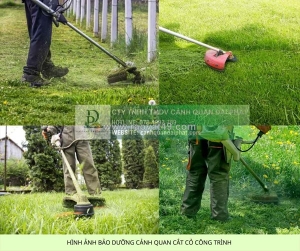 Cắt cỏ phát hoang giá rẻ, chuyên nghiệp đồng nai, tphcm, bình dương, long an