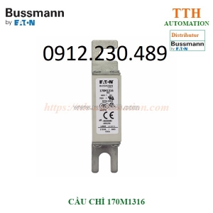 Cầu chì bussmann 170m1316 dòng điện định mức: 80a