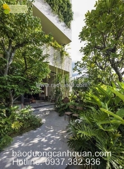 Cây nội thất tươi xanh, giao tận nơi nhanh chóng tiện lợi