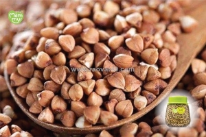 Chế biến hạt kiều mạch cho bé ăn dặm đúng cách