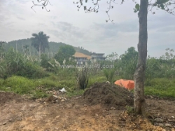 Chính chủ bán đất mặt tiền oto tránh giá tốt nhất láng hòa lạc-tuyến metro