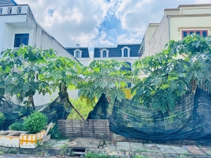 Chính chủ bán lô đất đẹp tại chung cư tdp lương quán-an dương, hải phòng