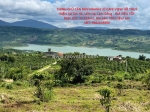 Chính chủ cần bán nhanh lô cafe view hồ thuỷ điện tại tân hà, lâm hà, lâm đồng