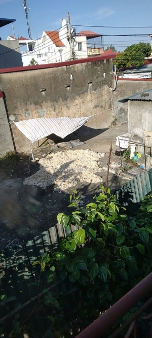 Chính chủ cho thuê mặt bằng tại số 203 bùi thị từ nhiên, phường đông hải 1, hải