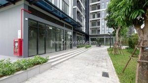 Chính chủ cho thuê shophouse p301s19 tại the pavilion - vinhomes ocean park,