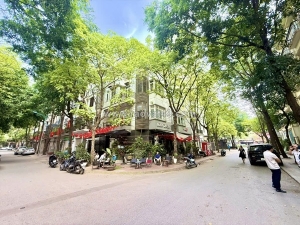 Cho thuê nhà bt xa la hàng ăn, cà phê, trung tâm, vp, kho, showroom... 4 tầng x