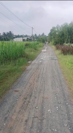 Chủ cần bán 🌿lô đất đẹp 
- vị trí đắc địa tại : mỹ thạnh đông - đức huệ -