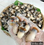 Cồi hàu điếu: đặc sản biển hiếm cho bữa ăn giàu dinh dưỡng