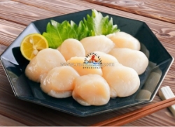 Cồi sò điệp nhật làm món gì ngon