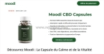 Comment utiliser moodi cbd 300mg pour des résultats optimaux ?