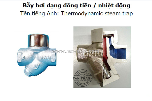 ~/Img/2025/11/cong-ty-tan-thanh-phan-phoi-bay-hoi-dong-tien-gia-re-uy-tin-02.png