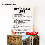 Cty sản xuất balet tuyển nam lđpt (–50 tuổi)