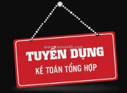 Cty xnk datiko vn tuyển kế toán tổng hợp làm ở bình thạnh